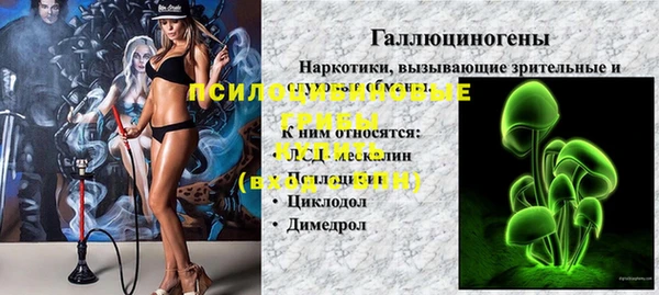 не бодяженный Осташков