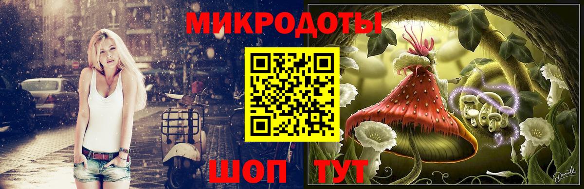 Фрязино  цены наркотик  Вход с VPN  Псилоцибиновые грибы GOLDEN TEACHER  Галлюциногенные грибы GOLDEN TEACHER 